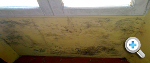 mould treatment