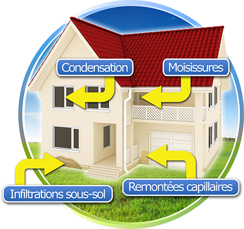 home moisture treatment